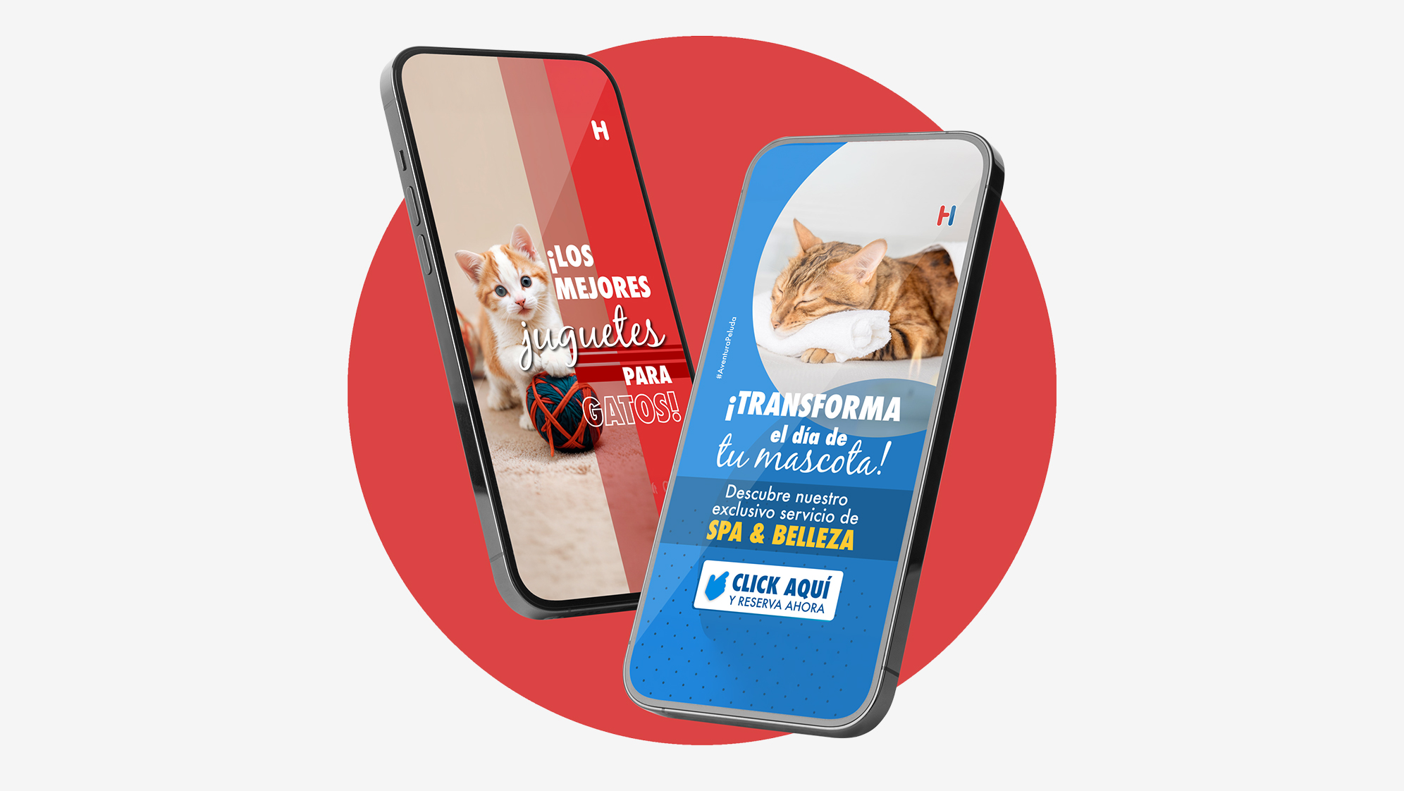 Galeria-la-holanda-pets-legger-4